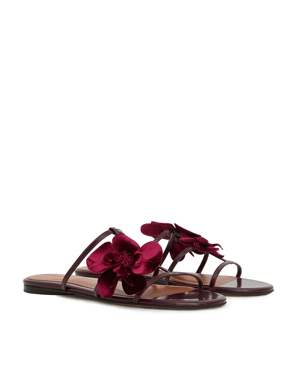 Orchid Slide